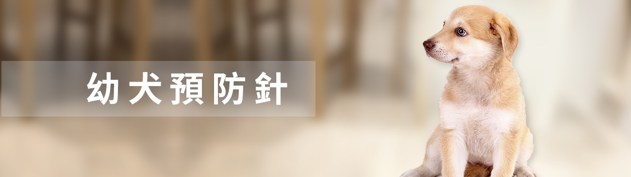 幼犬預防針施打計畫表 獸醫專欄 培特美petmate 毛家人全能照護